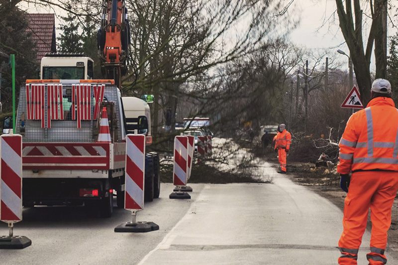 Straßenbaustelle mit halbseitiger Sperrung und Arbeitern in Warnkleidung bei Baumfällarbeiten